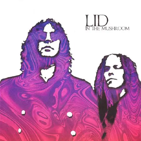 Lid In the Mushroom (LP) 