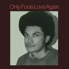 Danny Ayala Only Fools Love Again (LP)
