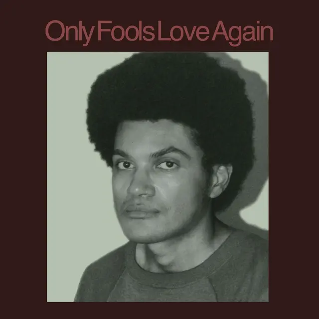 Danny Ayala Only Fools Love Again (LP) 