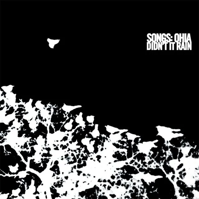 Songs: Ohia Didn't It Rain (LP) 