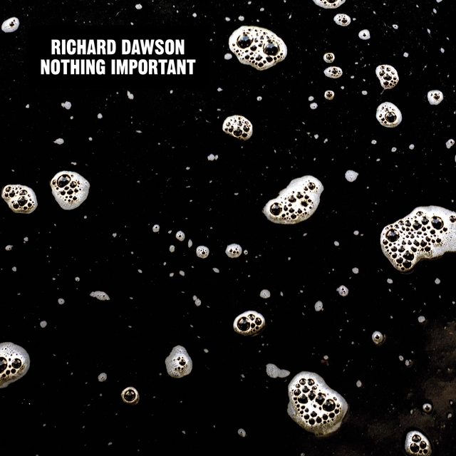 Richard Dawson Nothing Important (LP) 