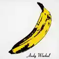 The Velvet Underground The Velvet Underground &amp; Nico…45th (LP)