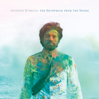 Anthony D'Amato The Shipwreck From The Shore (LP)
