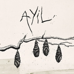 Ayil Ayil (12'')