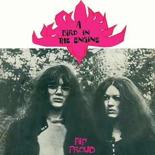 Pip Proud A Bird In The Engine (LP)