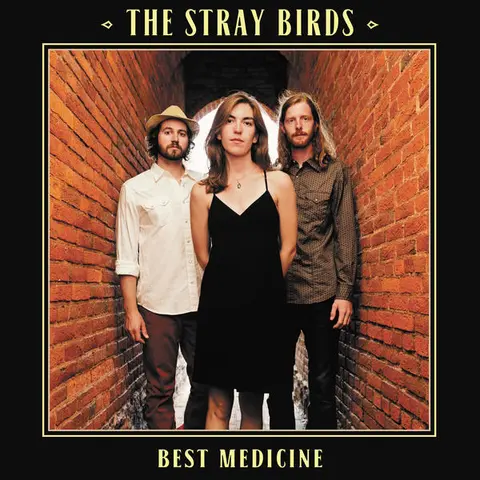 The Stray Birds Best Medicine (LP+CD) 