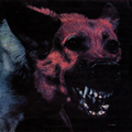 Protomartyr Under Color Of Official Right (LP)
