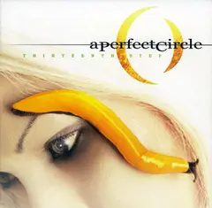 A Perfect Circle Thirteenth Step (2LP)