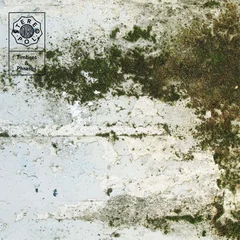 Stereopol Timbres &amp; Phrases (LP)