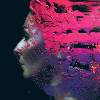 Steven Wilson Hand.Cannot.Erase - LTD (2LP)