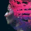 Steven Wilson Hand.Cannot.Erase - LTD (2LP)