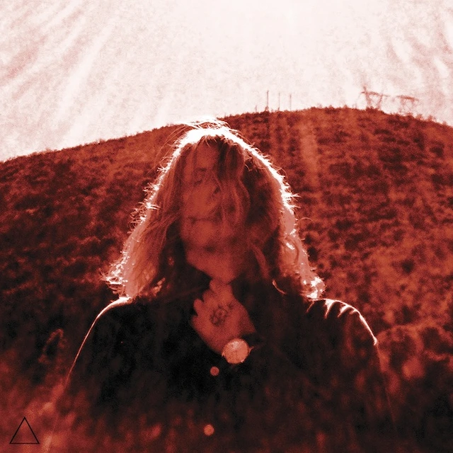 Ty Segall Manipulator (2LP) 