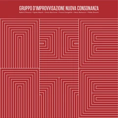 Gruppo D'Improvvisazione Nuova Consonanz Gruppo D'Improvvisazione Nuova Cons (LP)