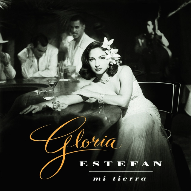 Gloria Estefan Mi Tierra (LP) 