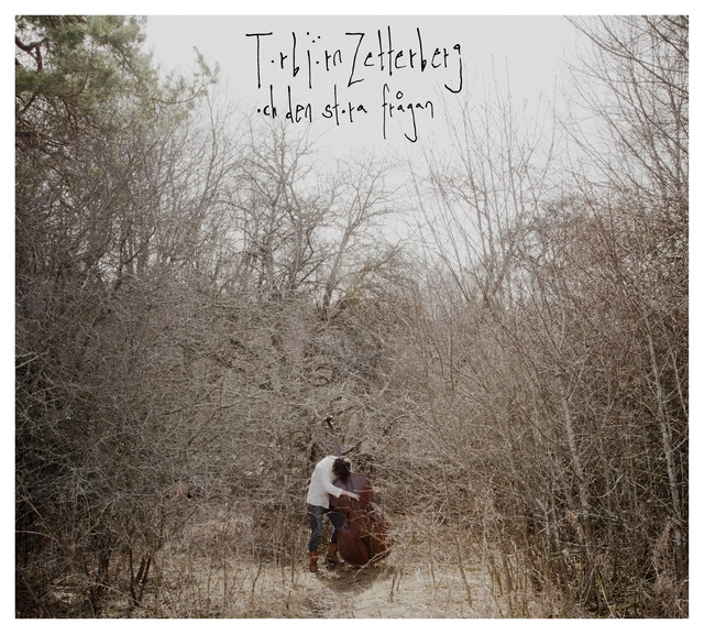 Torbjörn Zetterberg och Den stora frågan Torbjörn Zetterberg och Den stora...(LP) 