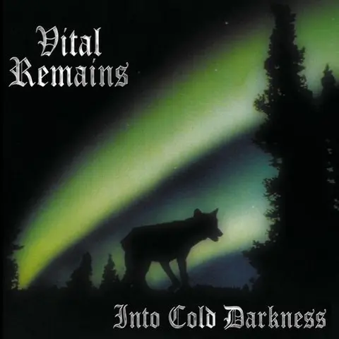 Vital Remains Into Cold Darkness (LP) 