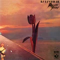 Pretty Things Parachute (LP)