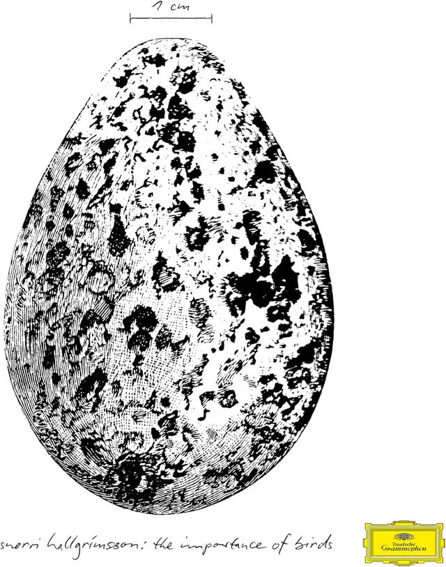 Snorri Hallgrímsson The Importance Of Birds (LP) 
