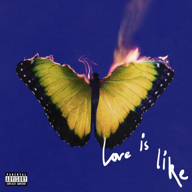 Maroon 5 Love Is Like - LTD (LP) 