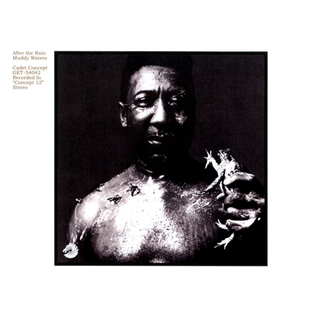 Muddy Waters After the Rain (LP)
