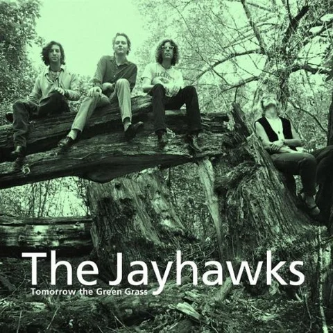 The Jayhawks Tomorrow The Green Grass (LP) 
