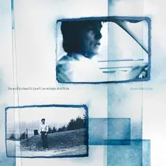 The World Is A Beautiful Place &amp; I Am… Dreams Of Being Dust (LP)