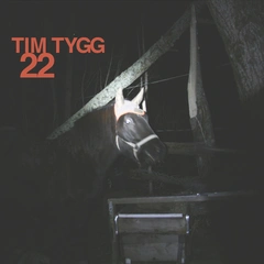 Tim Tygg 22 (LP)