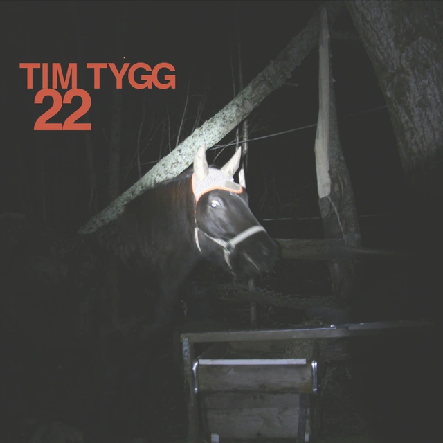 Tim Tygg 22 (LP) 