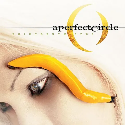 A Perfect Circle Thirteenth Step (2LP) 