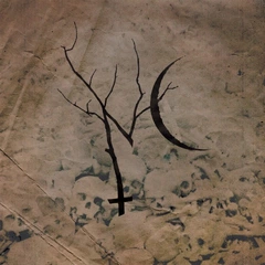 Nettlecarrier The Boiling Blood (7'')