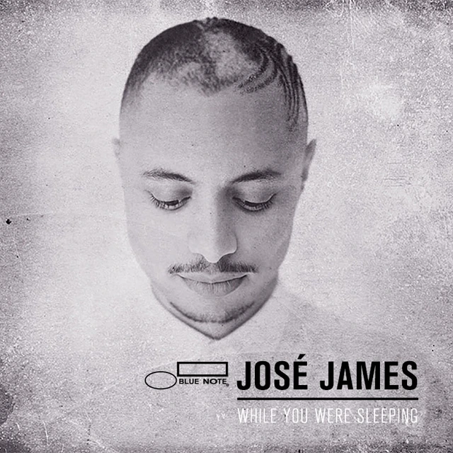 José James While You Were Sleeping (LP) 