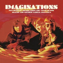 Diverse artister Imaginations (LP)