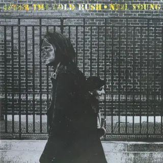 Neil Young After The Gold Rush (LP)