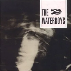 The Waterboys The Waterboys (LP)