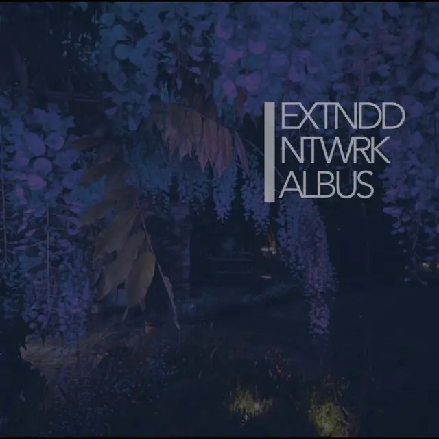 Extnddntwrk Albus - LTD (2LP) 