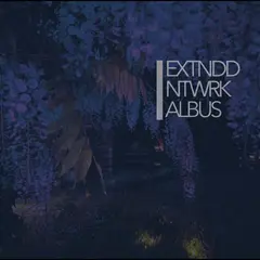 Extnddntwrk Albus (2LP)