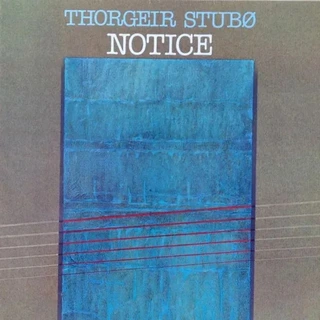 Thorgeir Stubø Notice (LP)