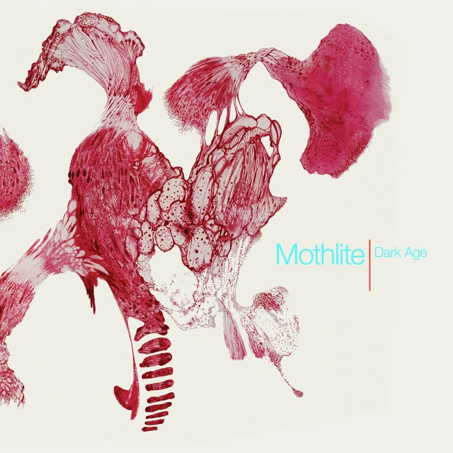 Mothlite Dark Age (LP) 