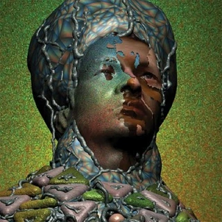 Yeasayer Odd Blood (LP)