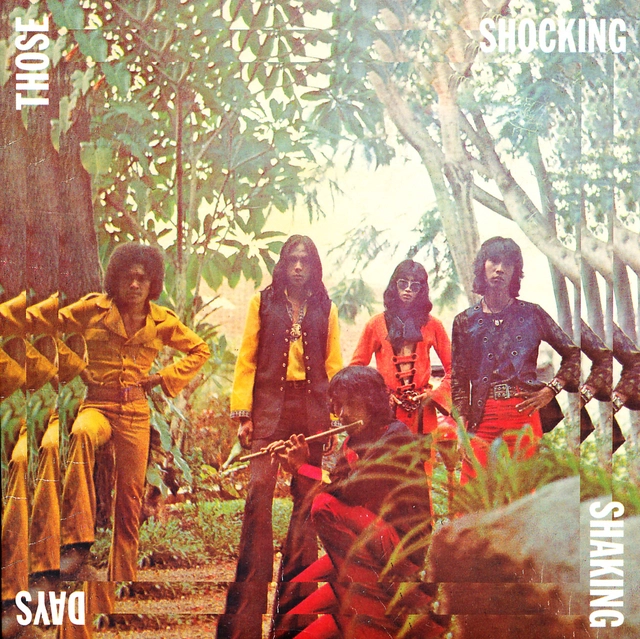 Diverse artister Those Shocking, Shaking Days (3LP) 
