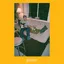 Mac DeMarco Guitar - LTD (LP)