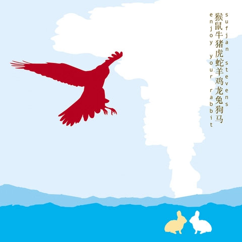 Sufjan Stevens Enjoy Your Rabbit (2LP)