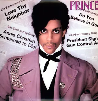 Prince Controversy (LP)