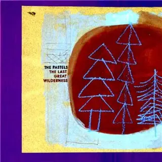The Pastels The Last Great Wilderness (LP)