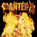 Pantera Reinventing The Steel (LP)