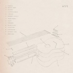 Ass 4 (LP)