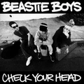 Beastie Boys Check Your Head (2LP)