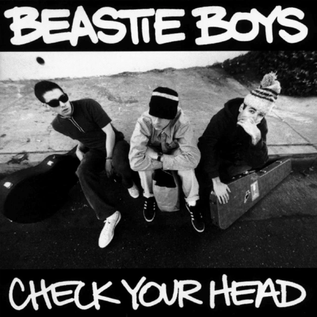 Beastie Boys Check Your Head (2LP) 
