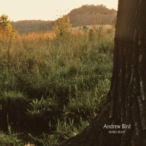 Andrew Bird Noble Beast (2LP) 