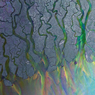 Alt-J An Awesome Wave (LP)